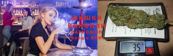 spice Вяземский