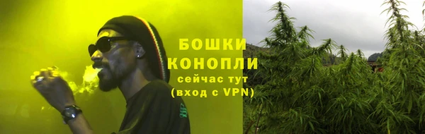 spice Вяземский
