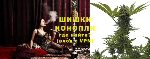 spice Вяземский